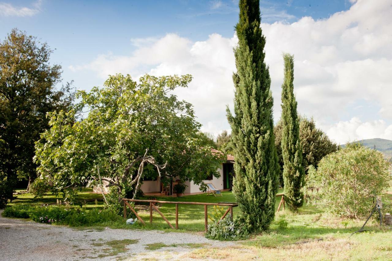 Вилла Agriturismo Sicomoro Капальбио Экстерьер фото